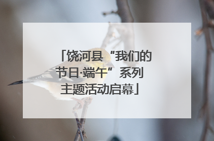 饶河县“我们的节日·端午”系列主题活动启幕